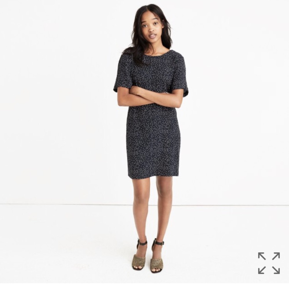 Madewell Polka Dot Dress- 00